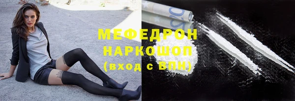 стафф Богданович