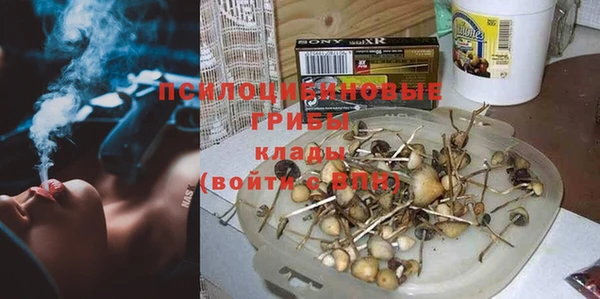 стафф Богданович