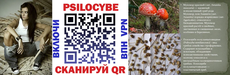 наркотики  мега ССЫЛКА  Псилоцибиновые грибы Magic Shrooms  Новоуральск 